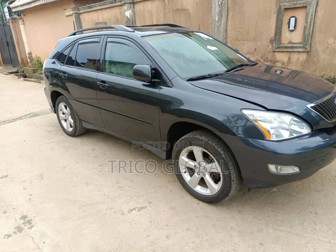Lexus RX 2005 Gray