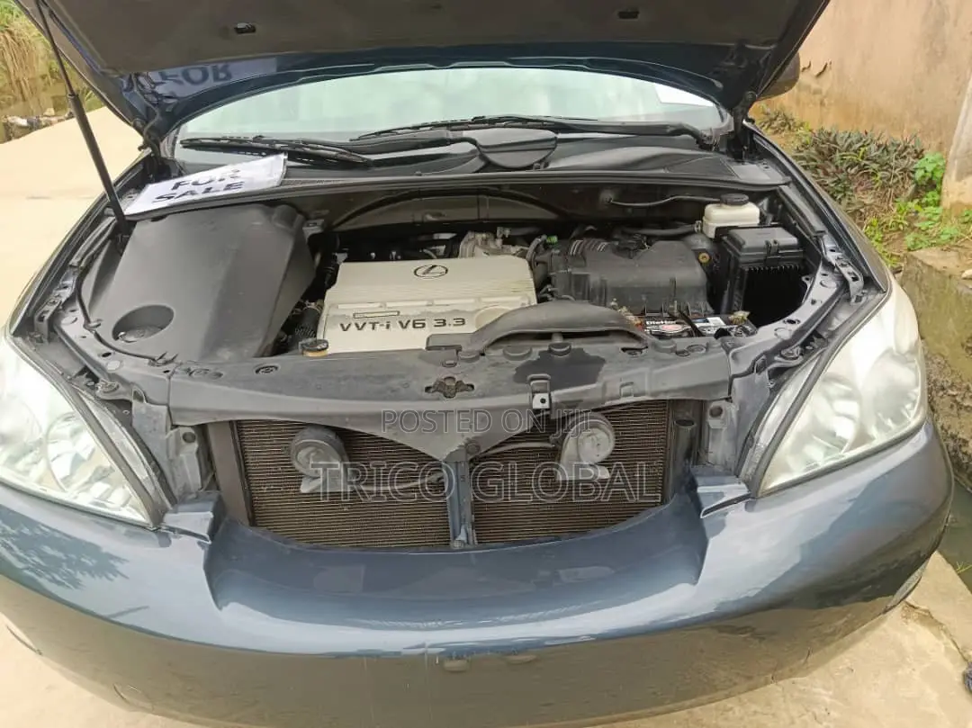 Lexus RX 2005 Gray