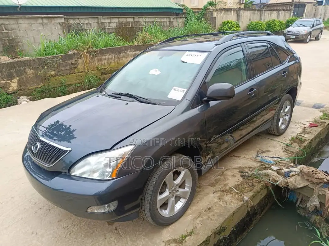 Lexus RX 2005 Gray