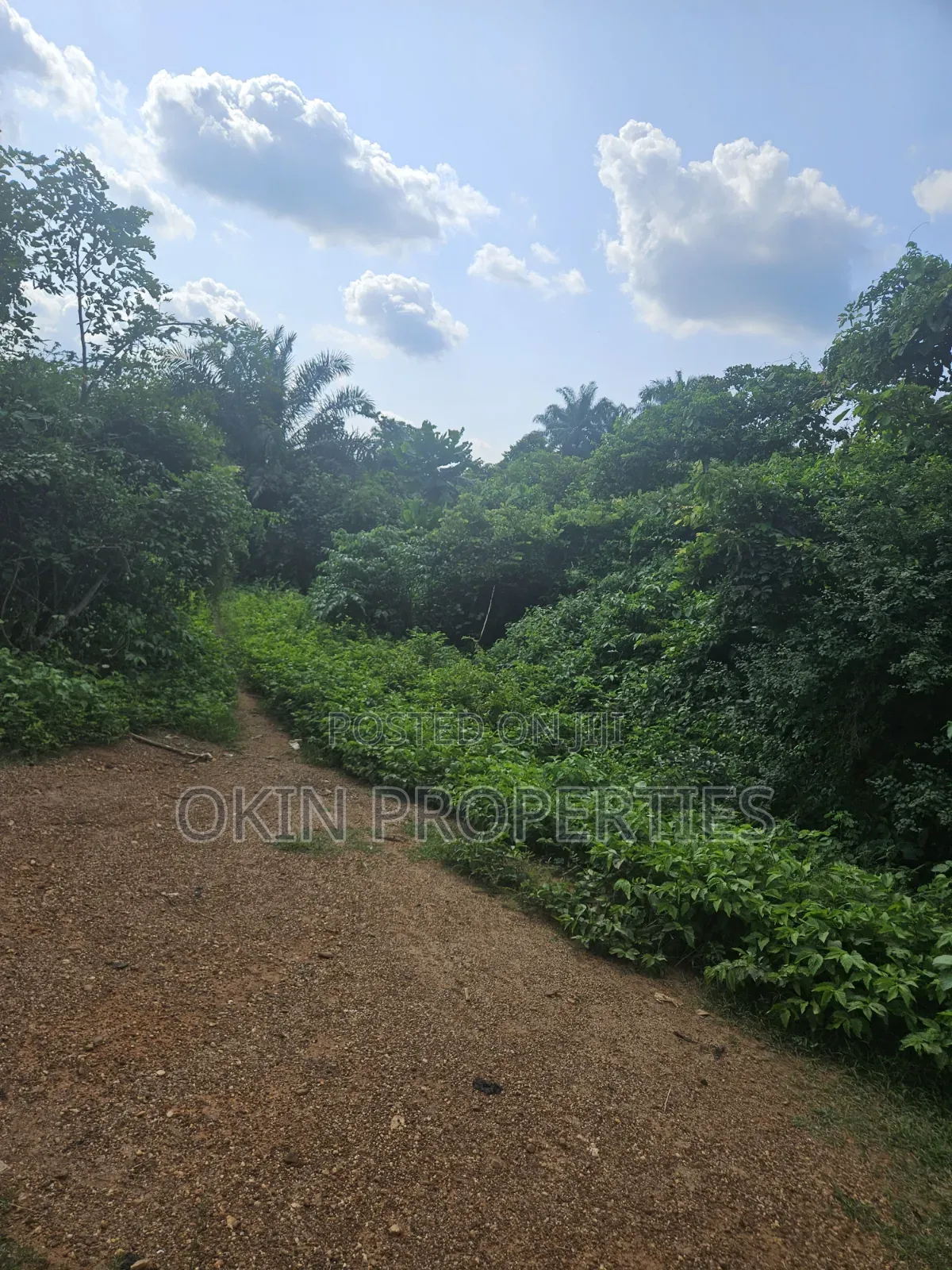 Farm Land at Iragberi