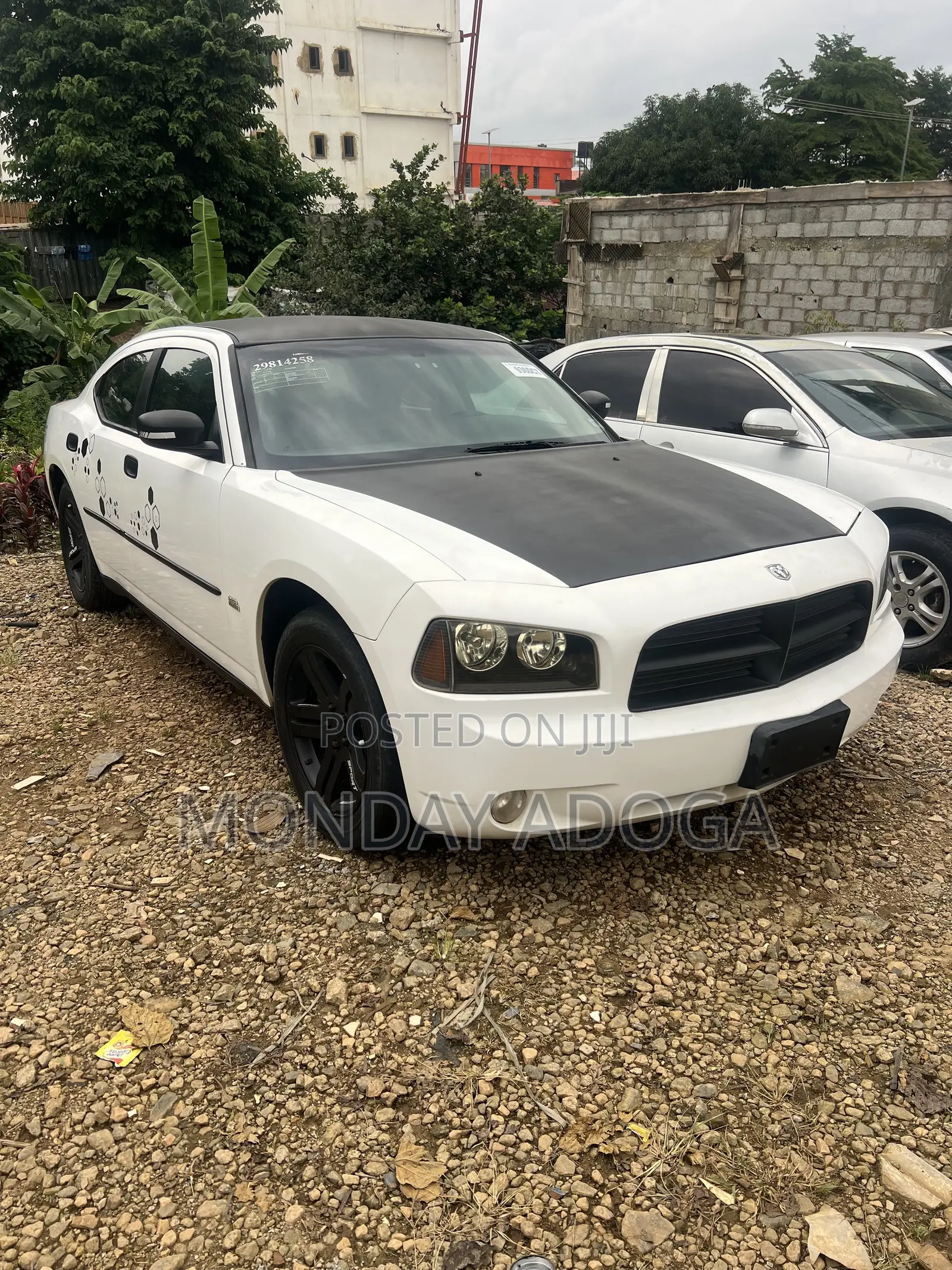 Dodge RAM 1500 3.6 Petrol RWD 2013 White