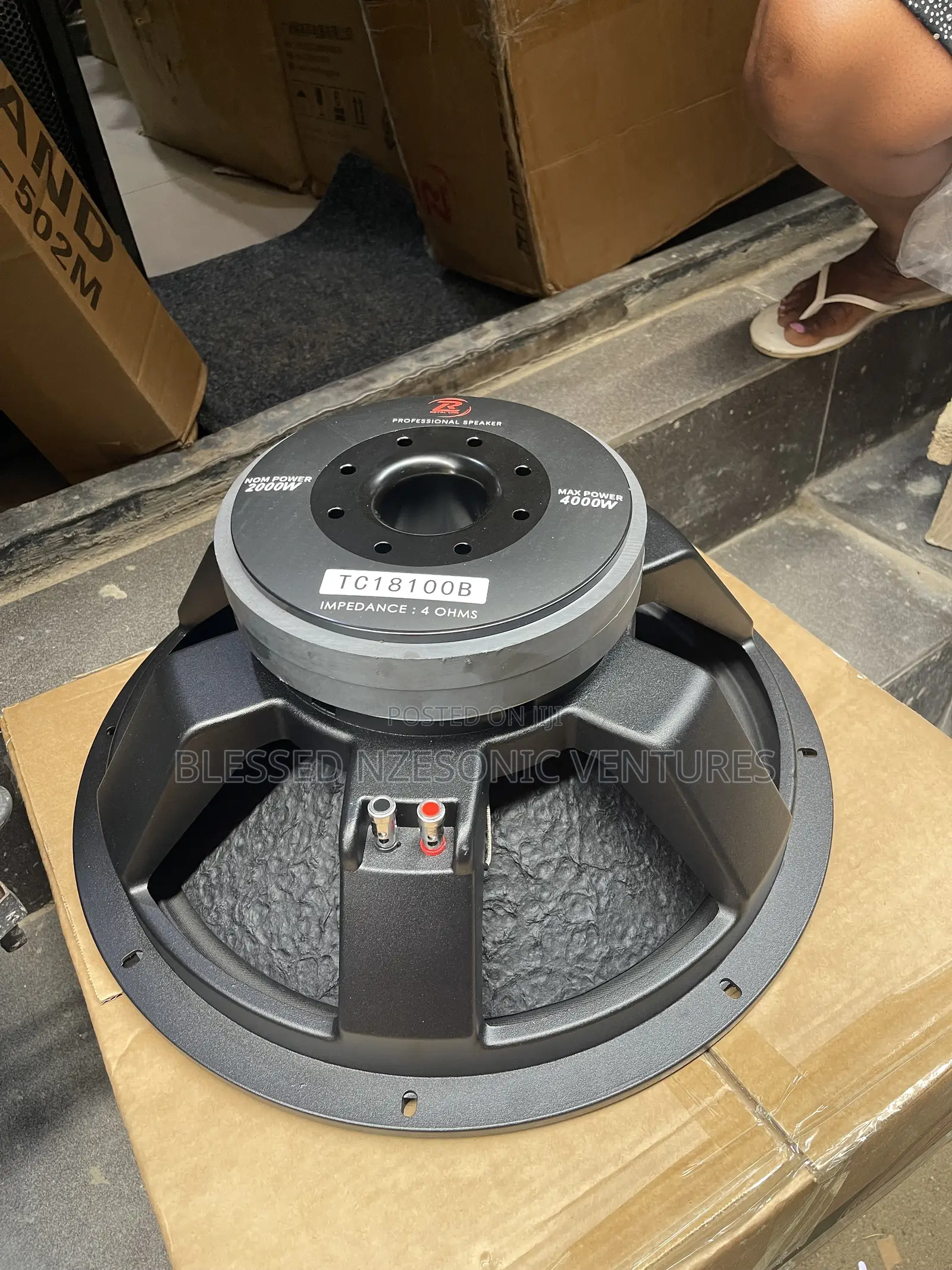 Naked Speaker 18 Inches