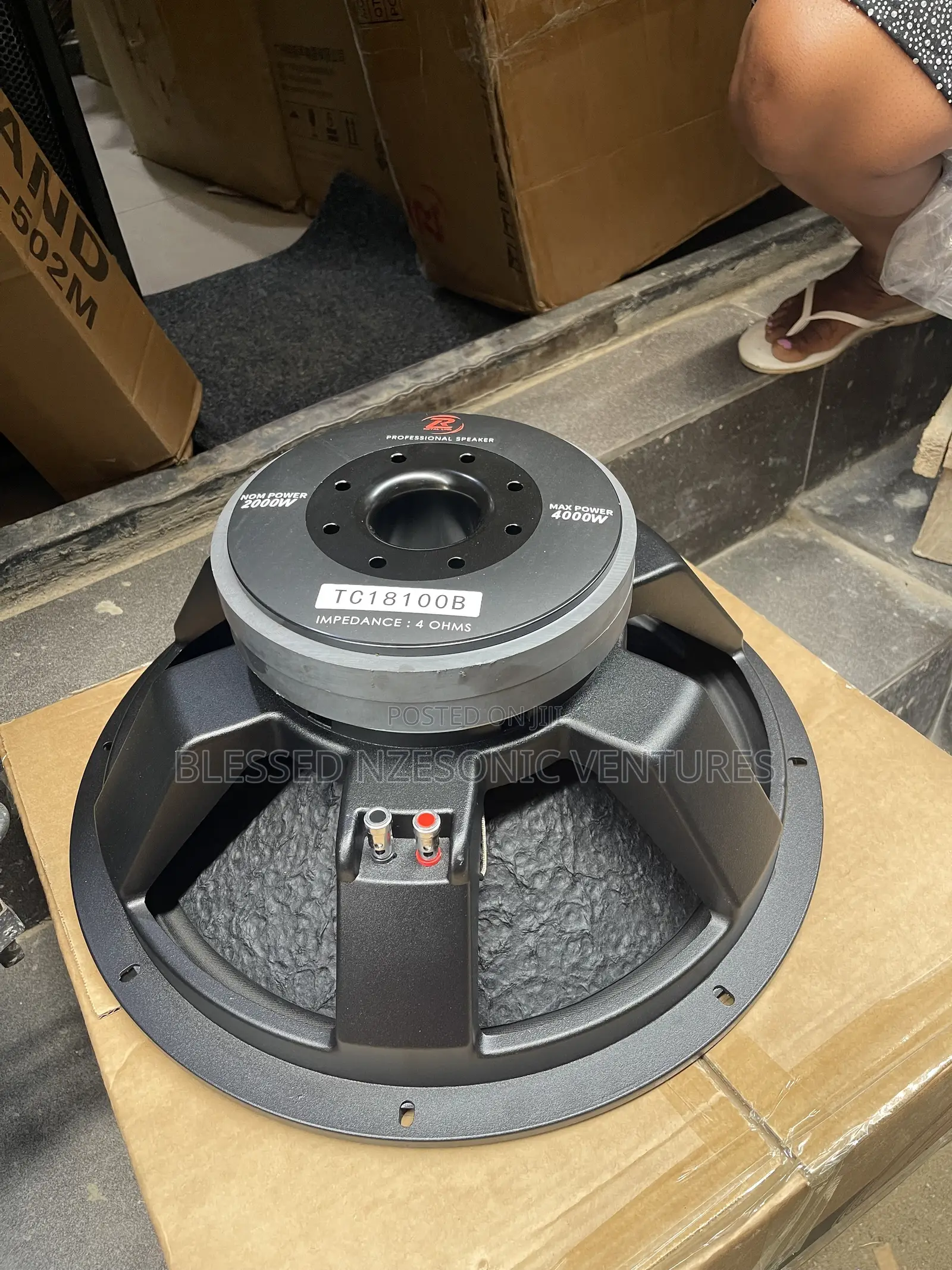 Naked Speaker 18 Inches