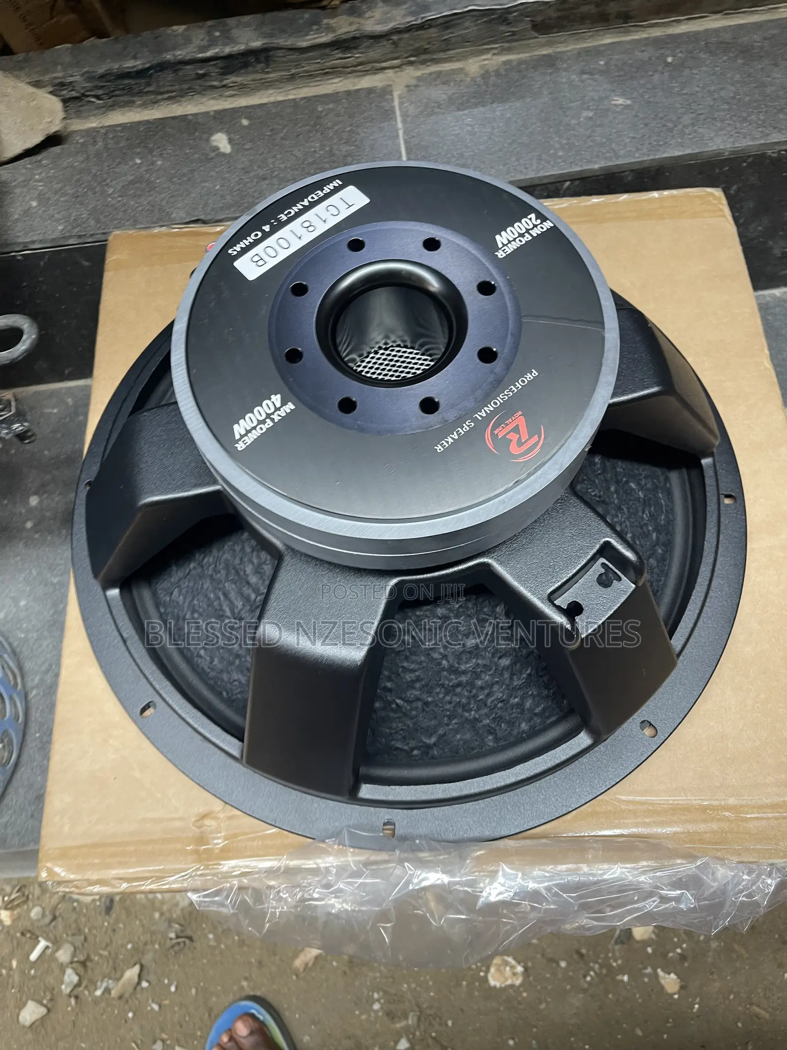 Naked Speaker 18 Inches