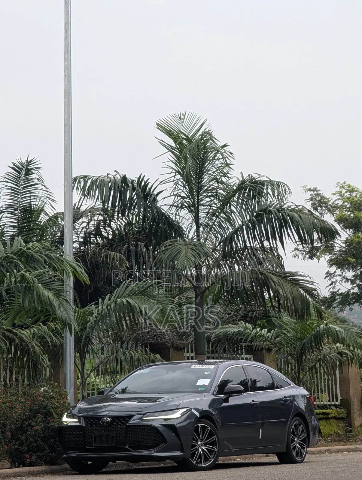 Toyota Avalon 2020 Gray