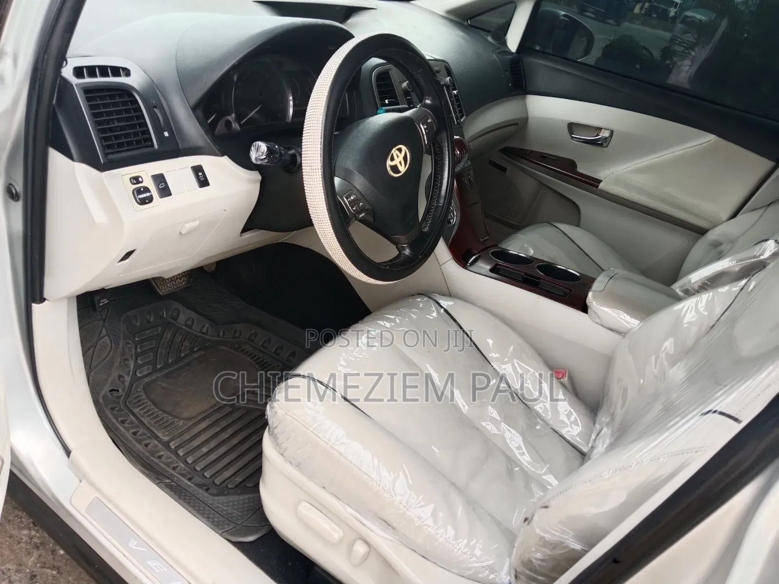 Toyota Venza 2010 Silver