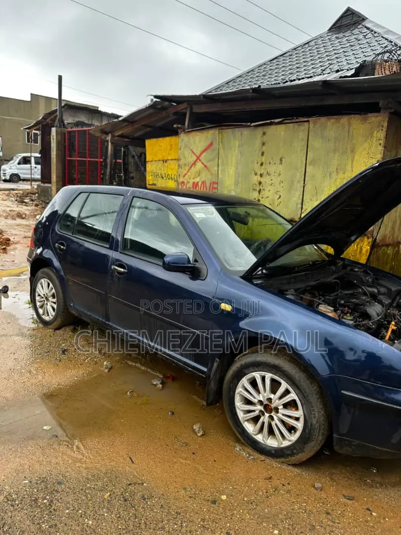 Volkswagen Golf 2006 Blue