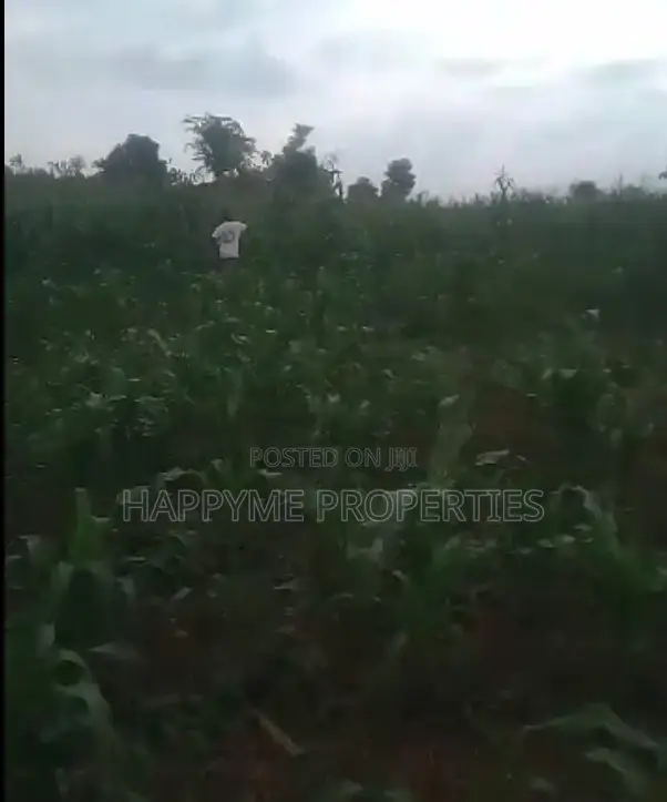 Premium 18.40-Hectare Land for Sale at Wasa, Apo, Abuja