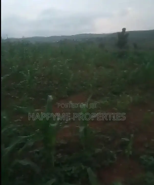 Premium 18.40-Hectare Land for Sale at Wasa, Apo, Abuja