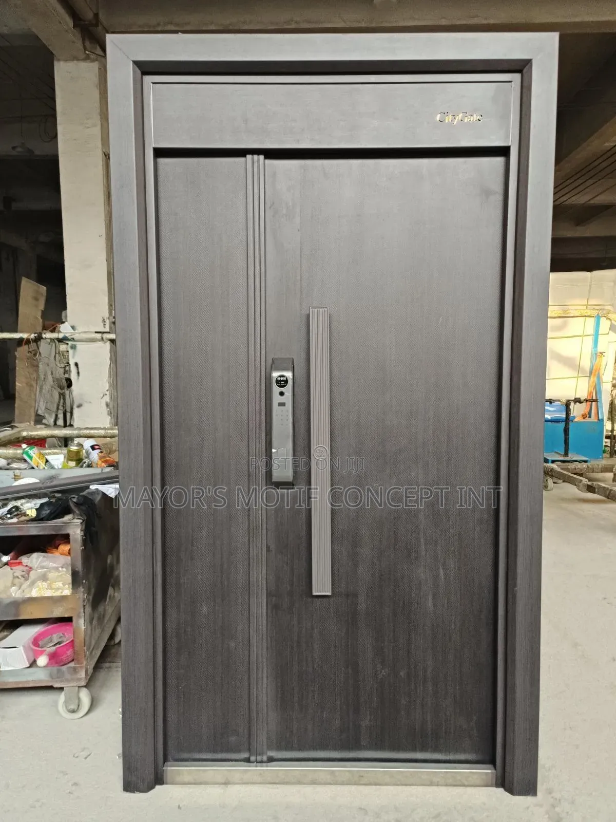 Main Entrance Smart Door
