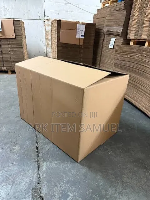 Normal Size Carton