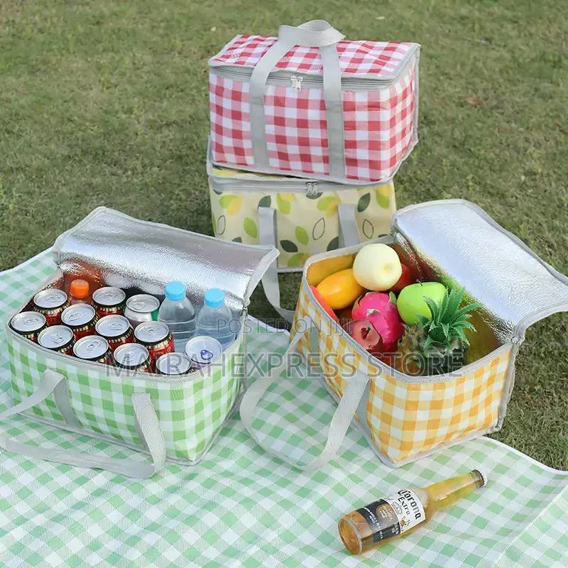 Portable Insulated Picnic Bag