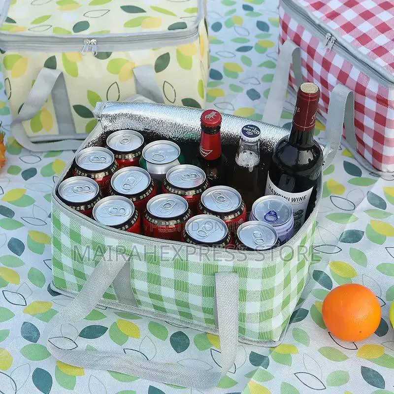 Portable Insulated Picnic Bag