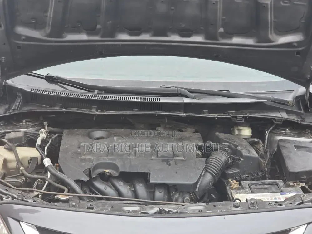 Toyota Corolla 2009 Gray