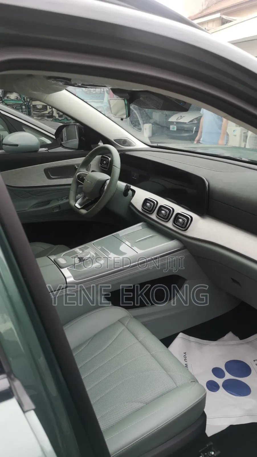 New Chery Tiggo 9 Pro 2026 Green