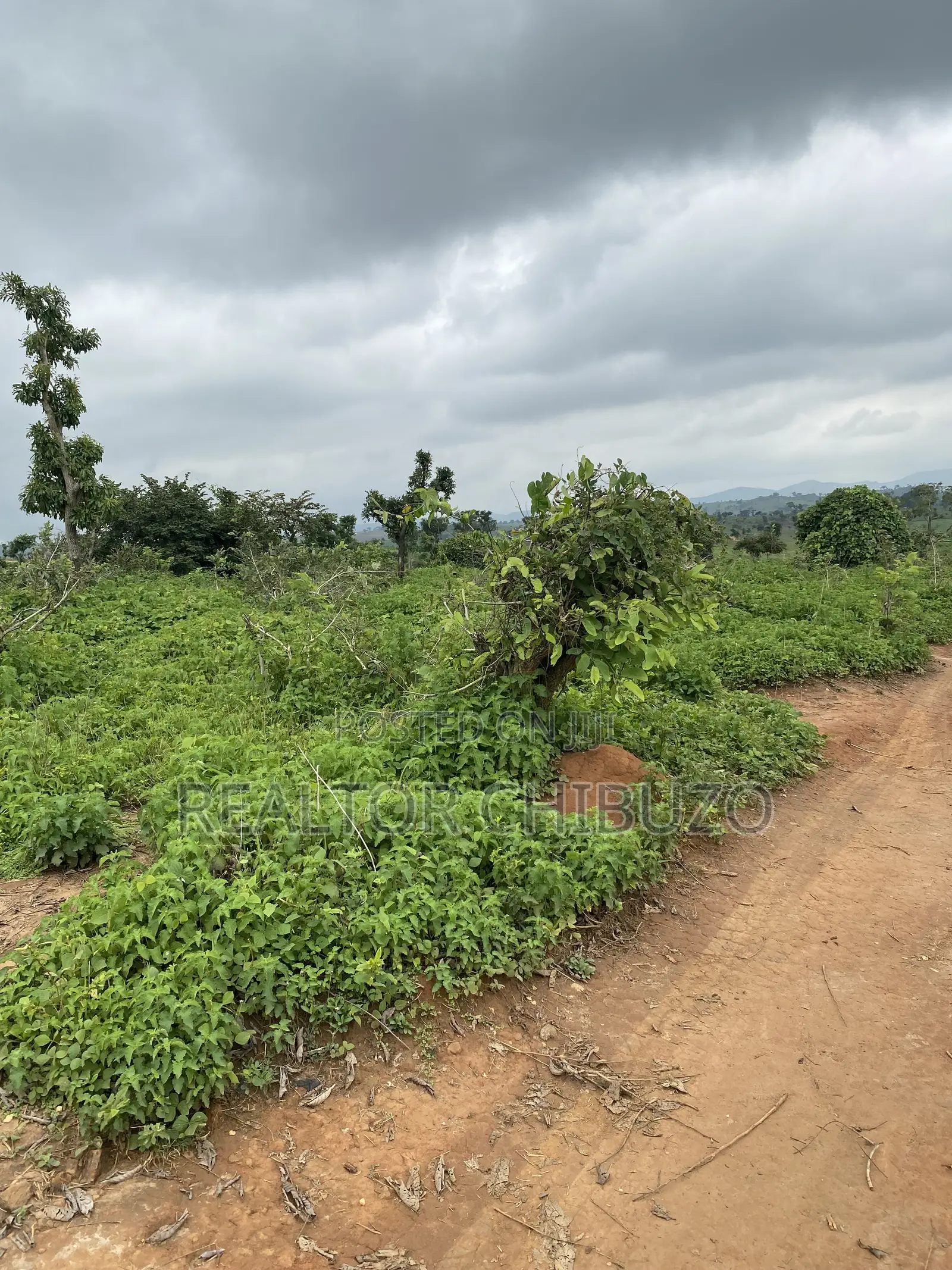 Hectare Sales at Apo Wassa - 200mill Per Hec