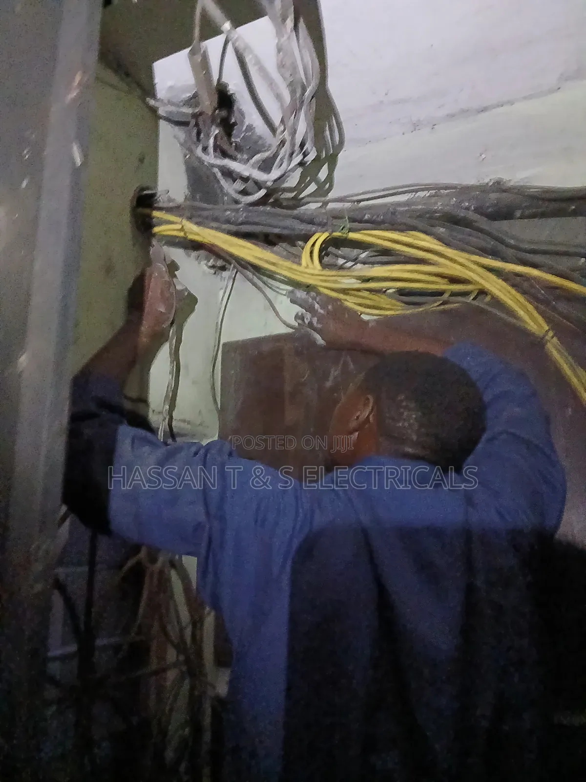 Professional Electrician