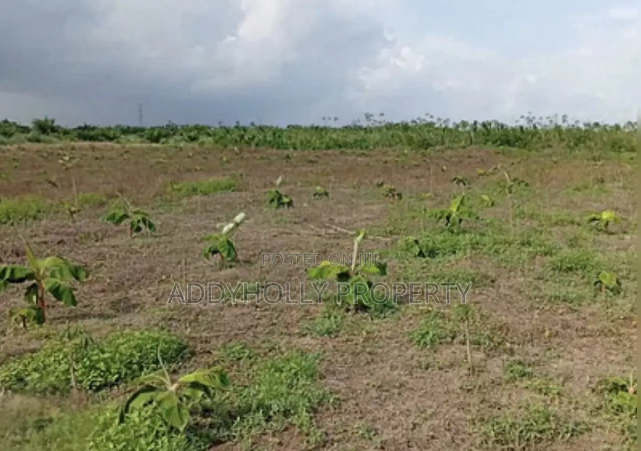 Farm Land on Sale in Nigeria