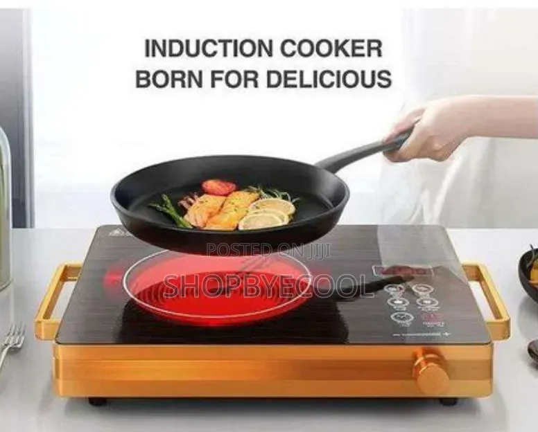 Infrared Cooker Hot Plate
