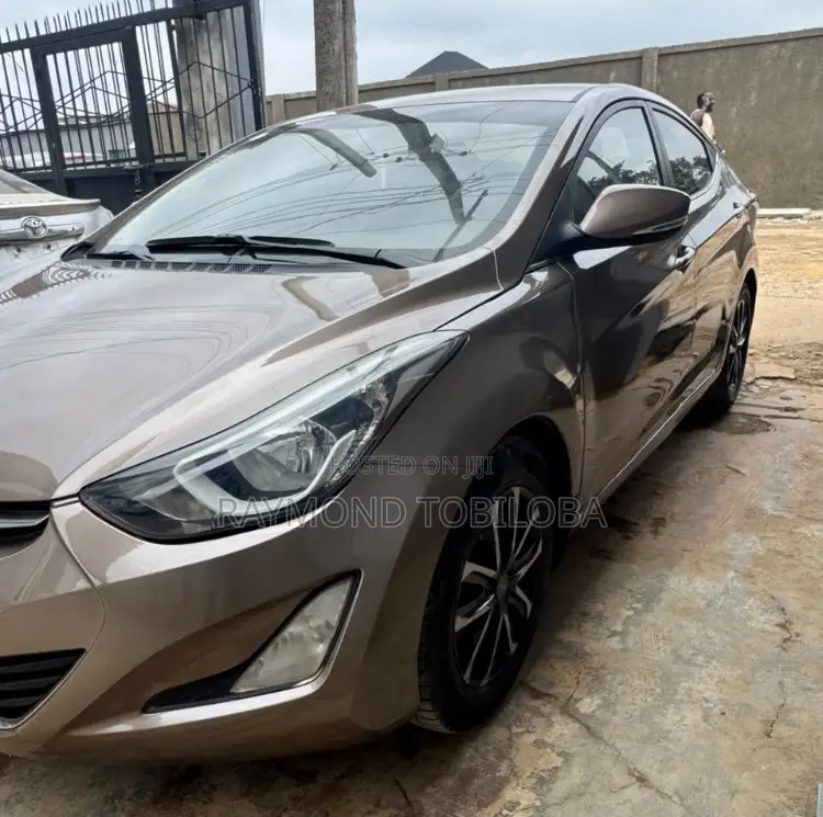 Hyundai Elantra 2014 Gray