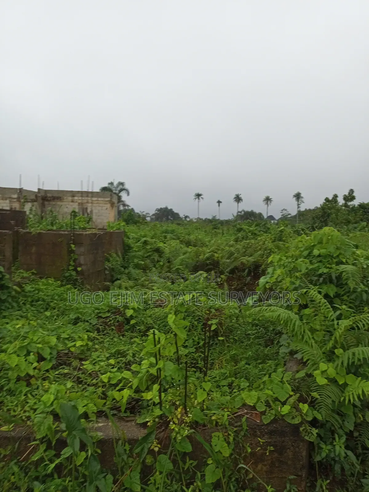 104 Plots of Land