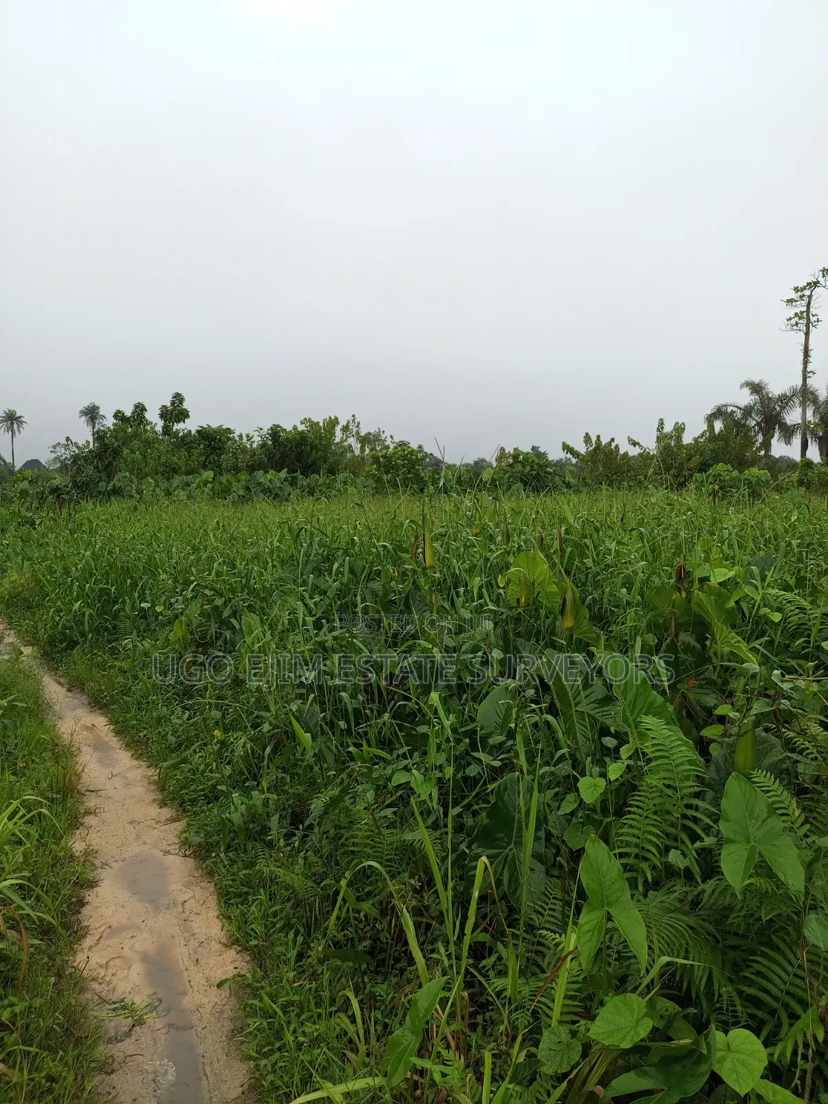 104 Plots of Land