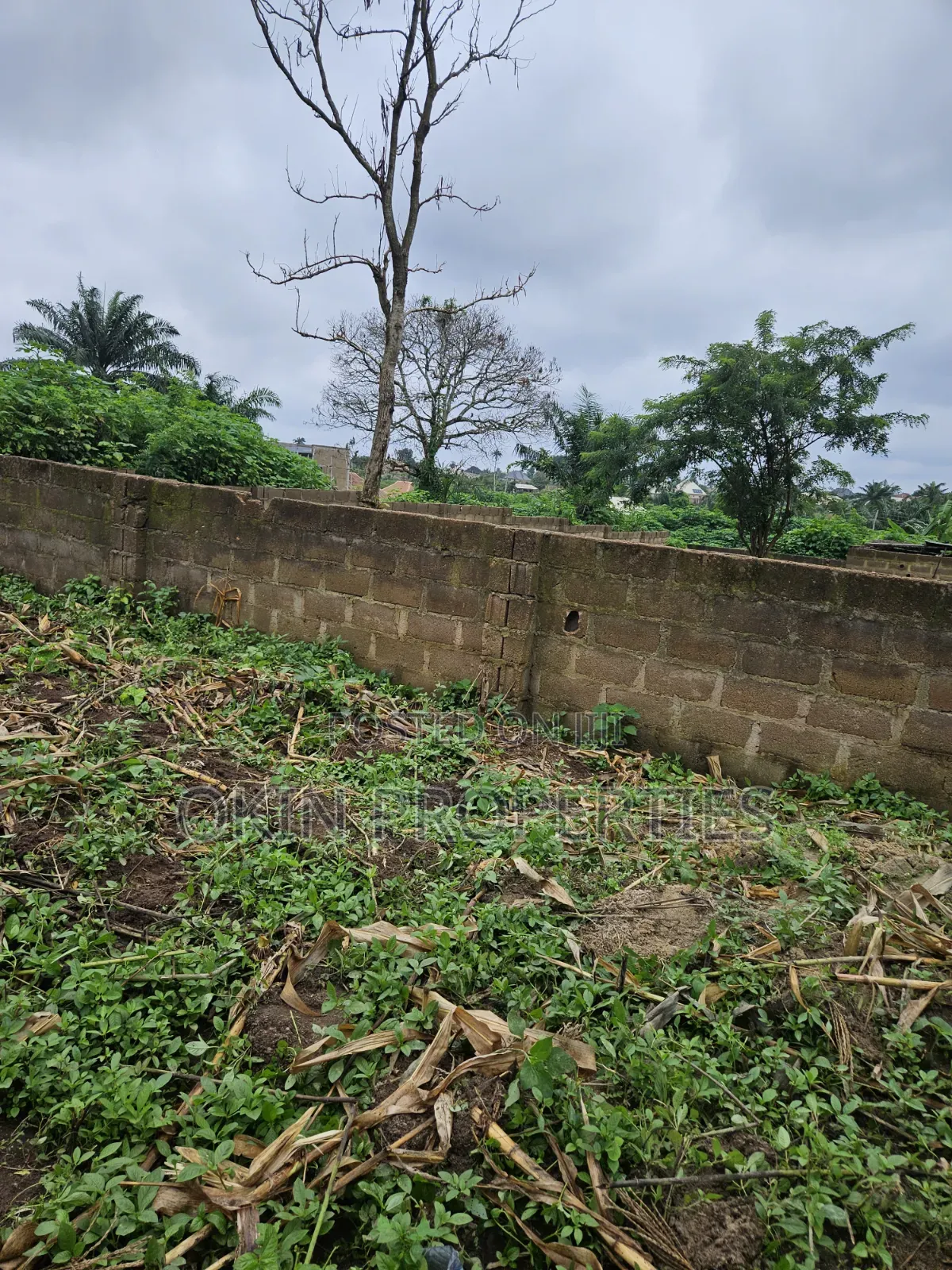A Plot of Land Behind Federal Housing Estate Okeonitea
