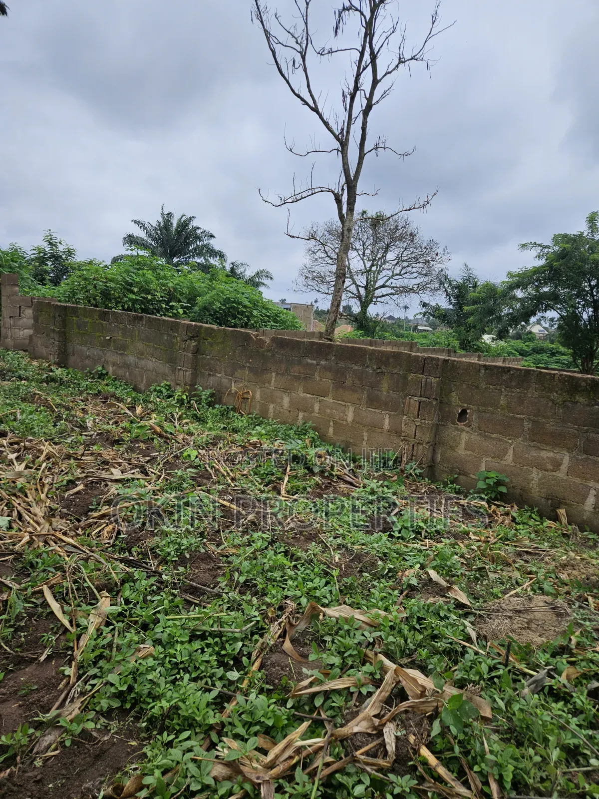 A Plot of Land Behind Federal Housing Estate Okeonitea