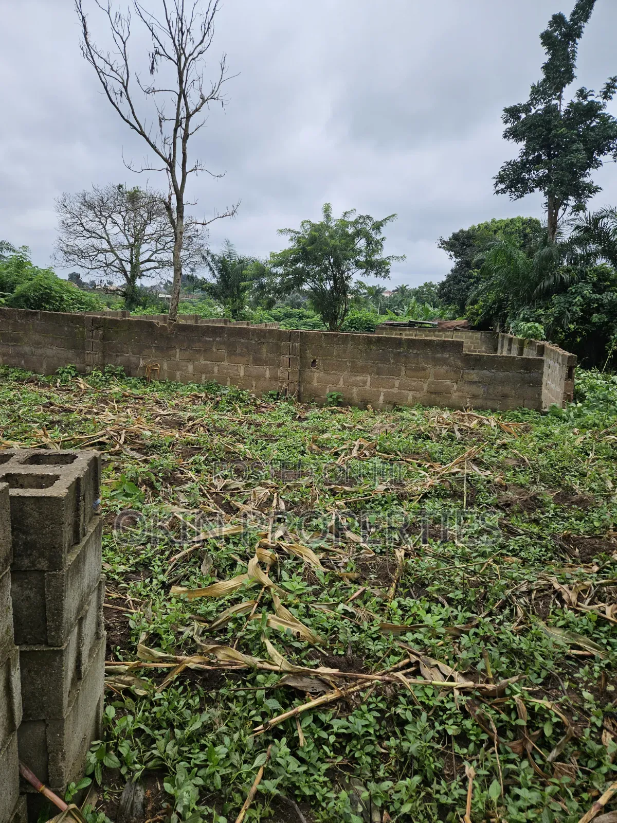 A Plot of Land Behind Federal Housing Estate Okeonitea
