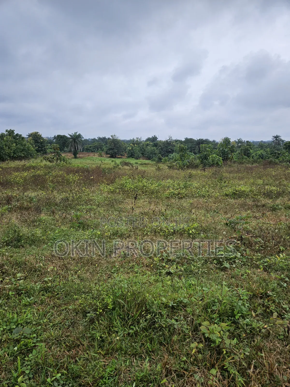 Plots of Land at Adeleke Estate Okemokin Osogbo