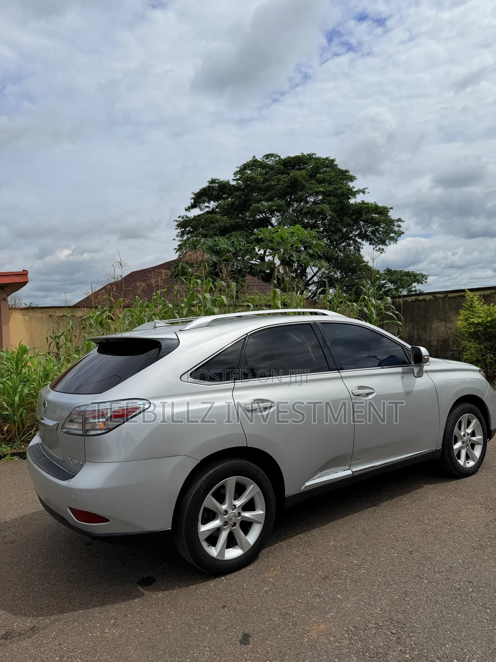 Lexus RX 350 2010 Silver