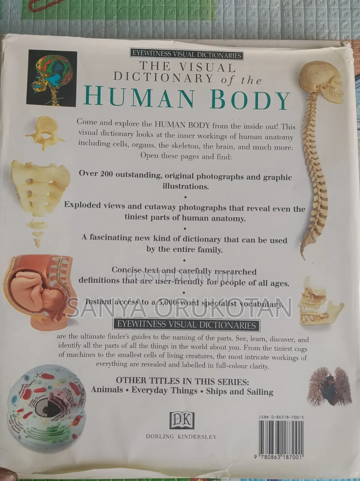 The Visual Dictionary of the Human Body