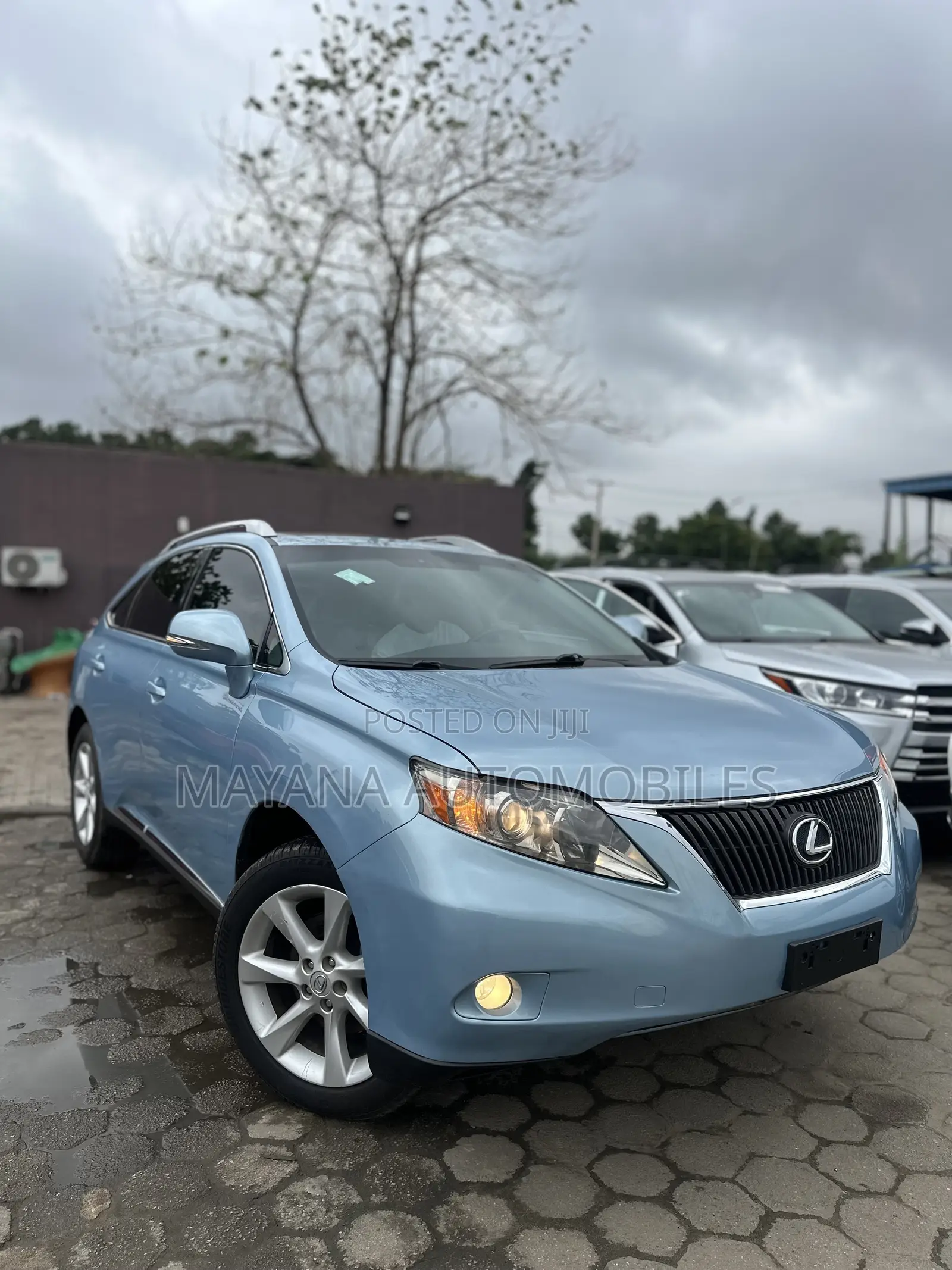 Lexus RX 350 2010 Blue