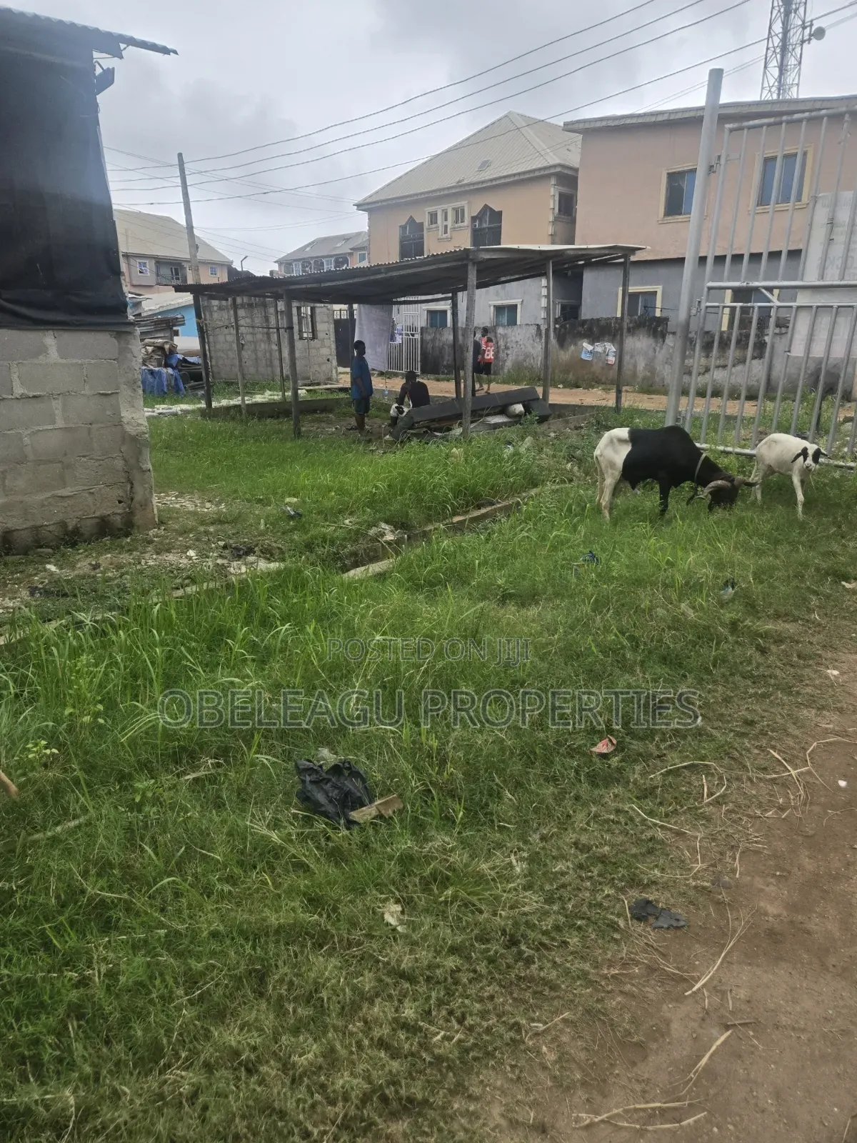 Deed and Survey