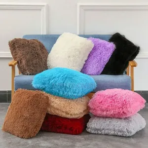 Throw Pillow for Sitting Rooms, Bed Rooms, Antee Room Etc.