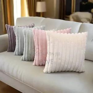 Throw Pillows for Living Room, Bed Rooms, Antee Room Etc.