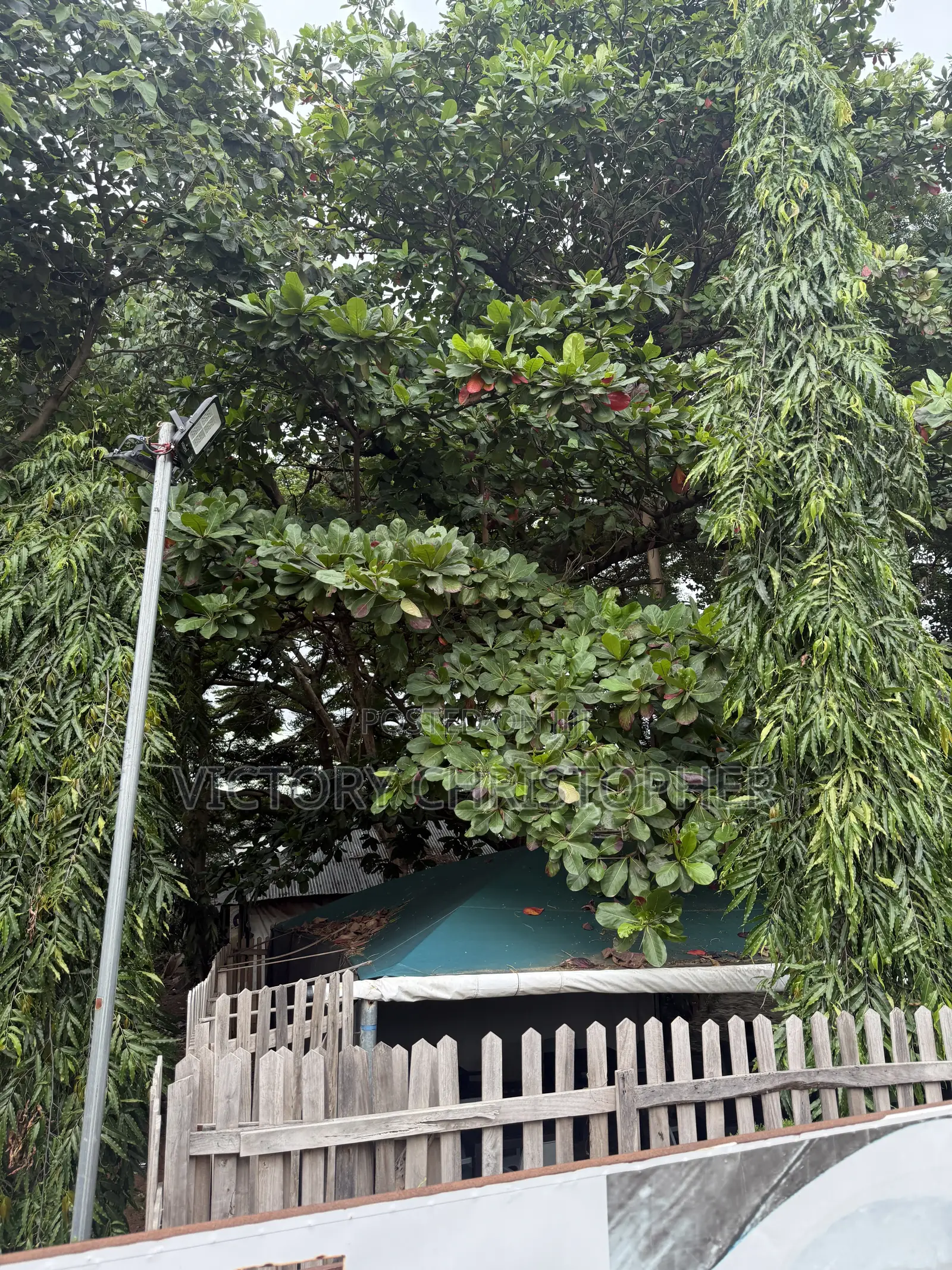 1220sqm Residential Land