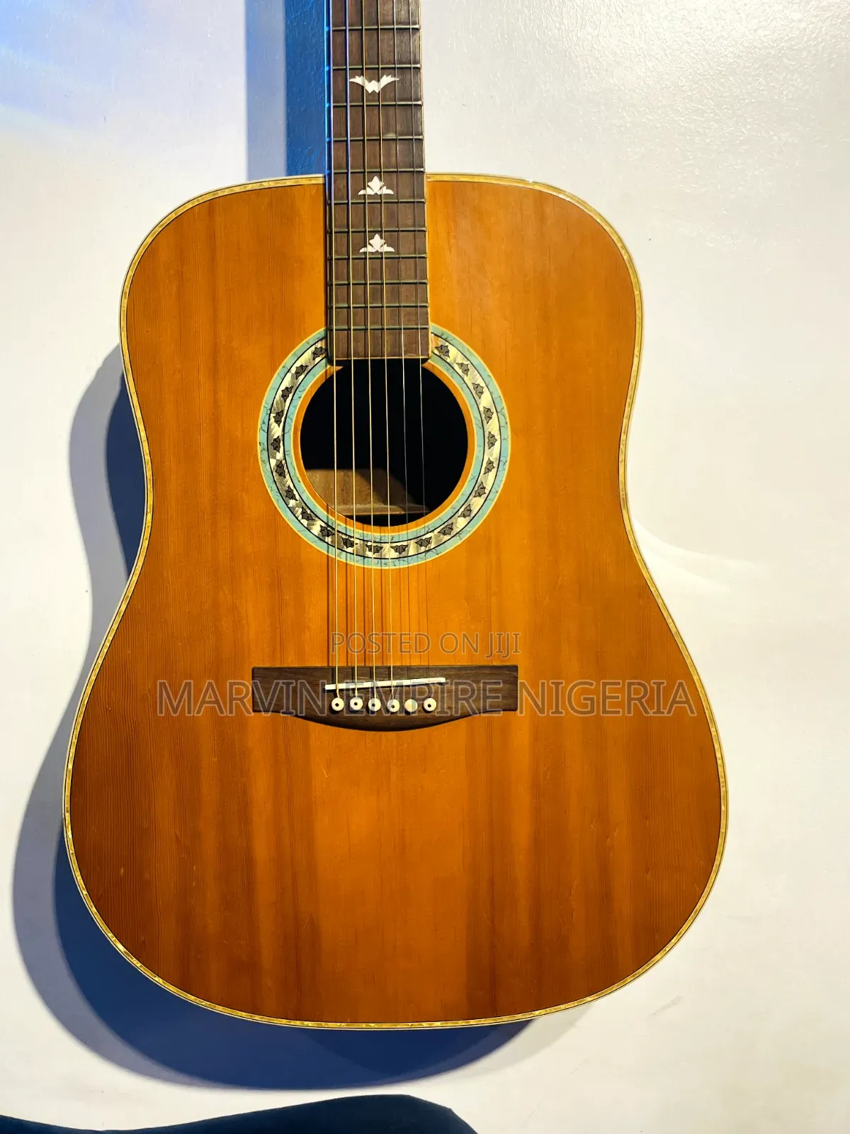 Electroacoustic Dreadnought Guitar With Seven (7) Accessories_ Fender
