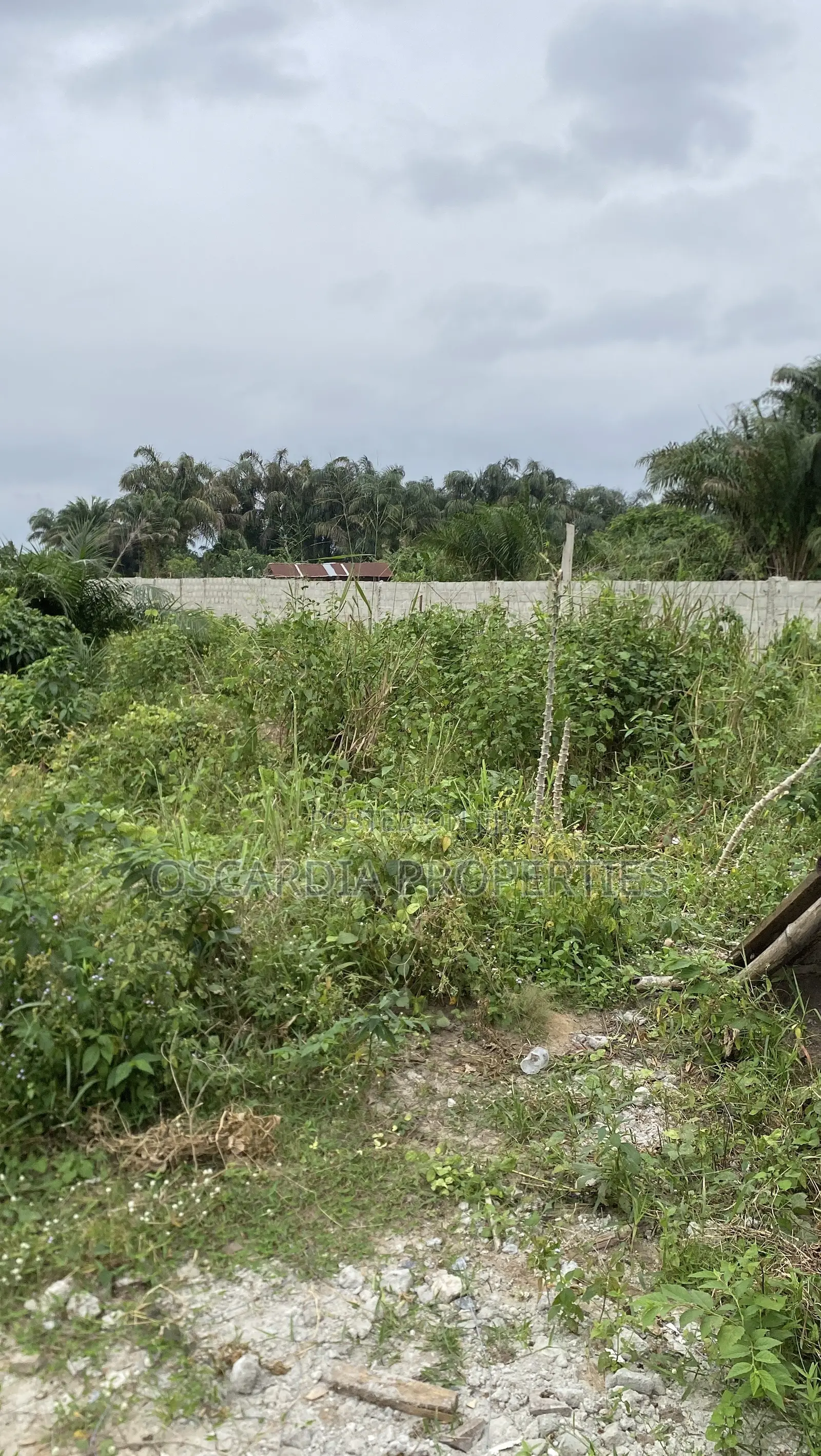 Plots of Land for Sale Near Lekki International Airport, Lagos Nigeria