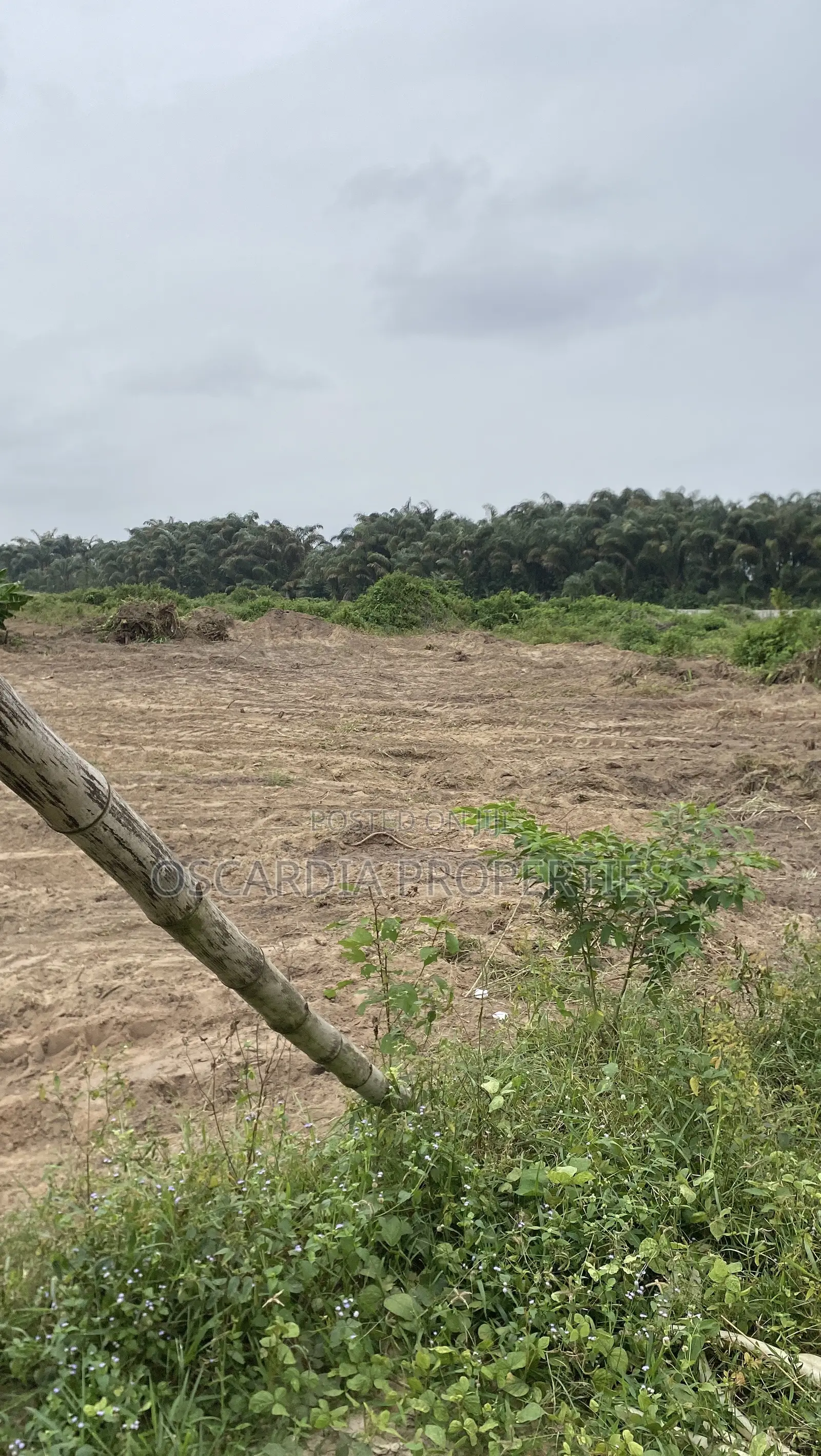 Plots of Land for Sale Near Lekki International Airport, Lagos Nigeria