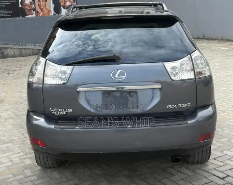Lexus RX 330 2004 Gray