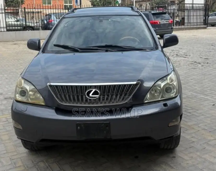 Lexus RX 330 2004 Gray