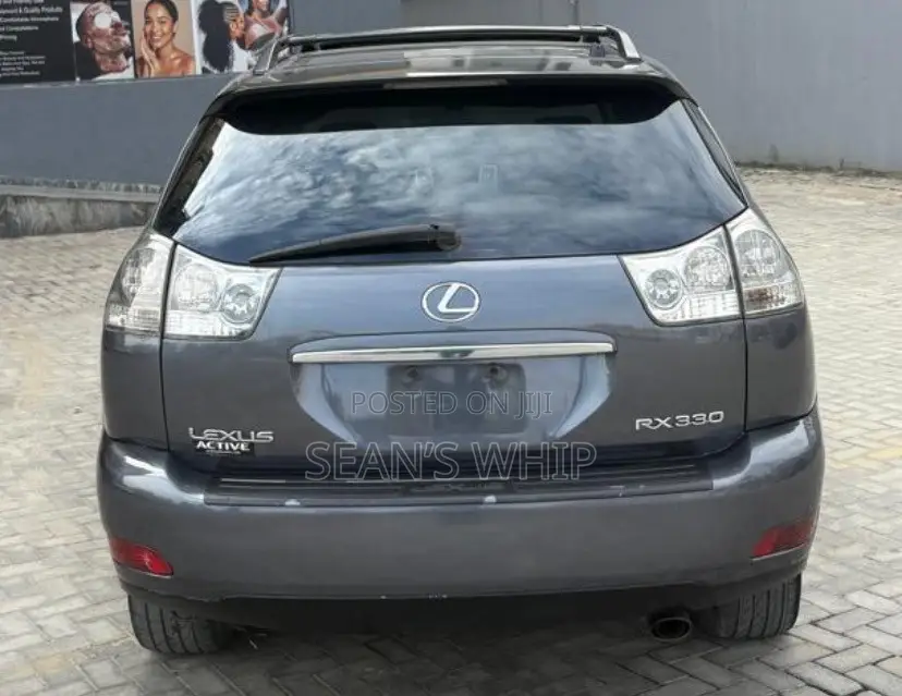 Lexus RX 330 2004 Gray
