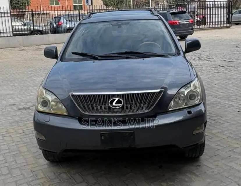 Lexus RX 330 2004 Gray
