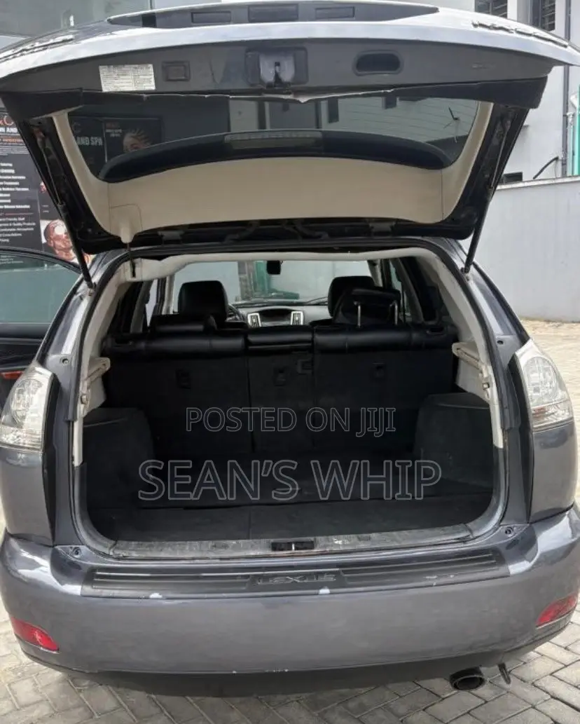 Lexus RX 330 2004 Gray