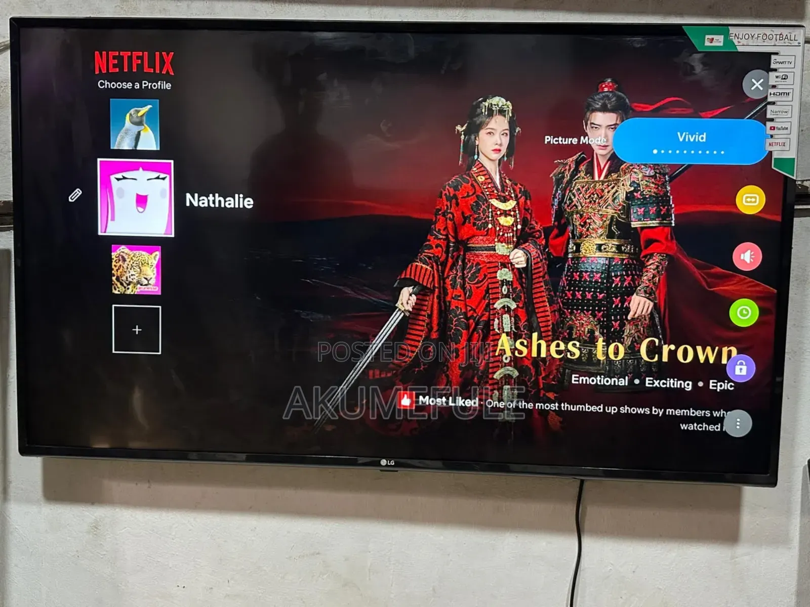 LG Smart TV 49 Inches Display With Free Netflix Account and YouTube