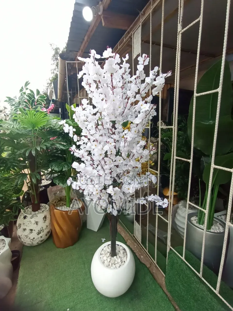 Round Pot and Cherry Blossom Plant