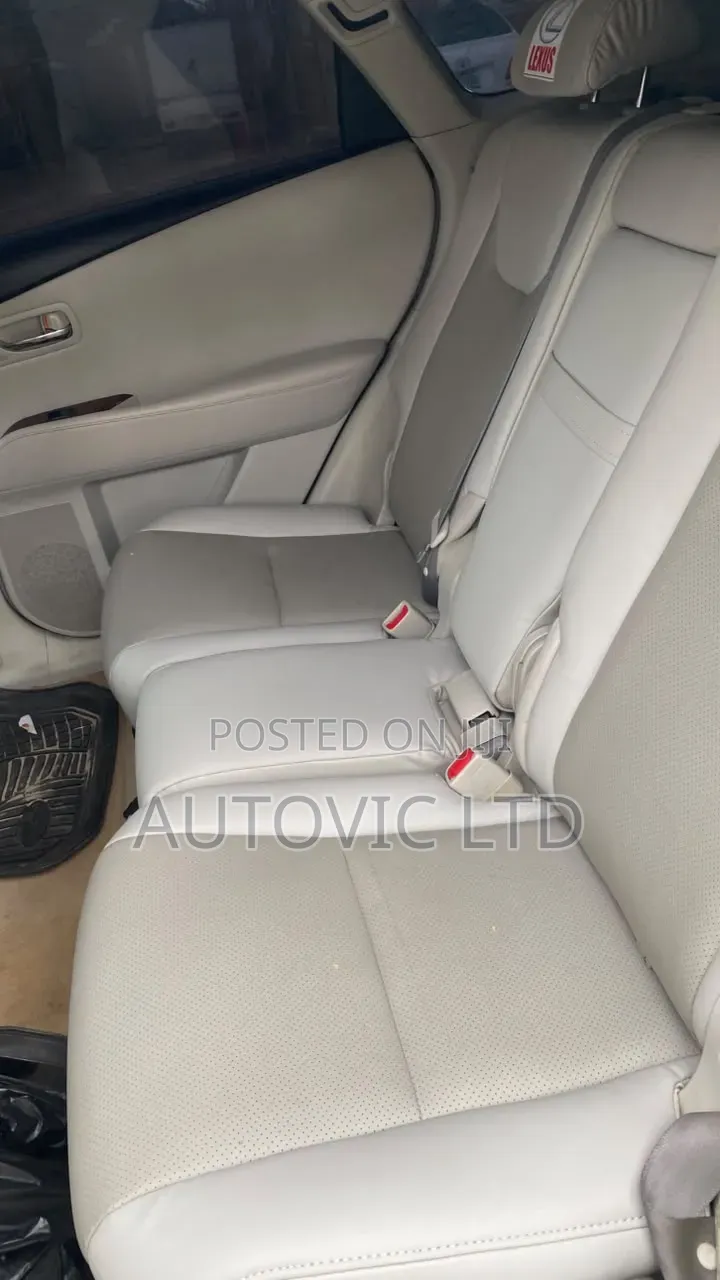 Lexus RX 2010 Silver