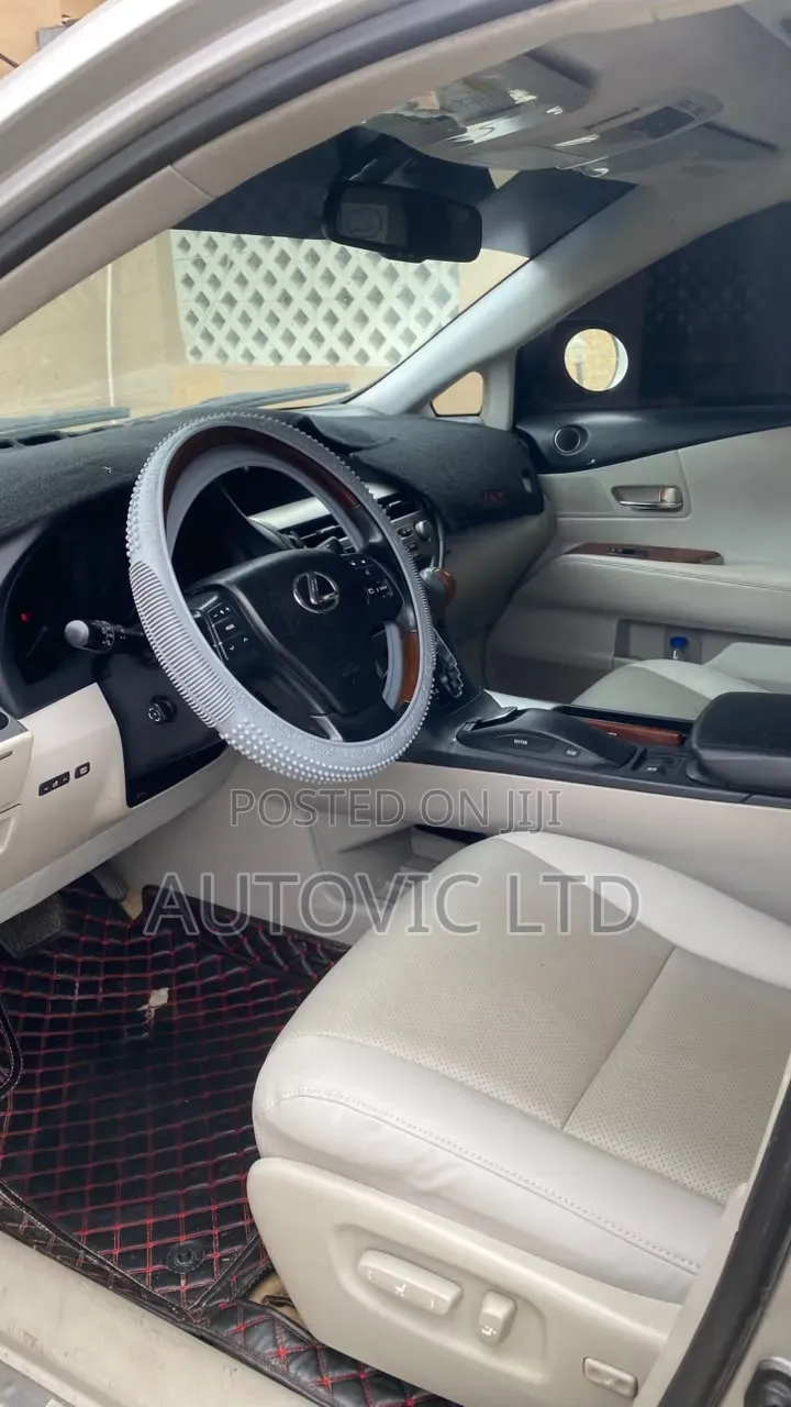 Lexus RX 2010 Silver
