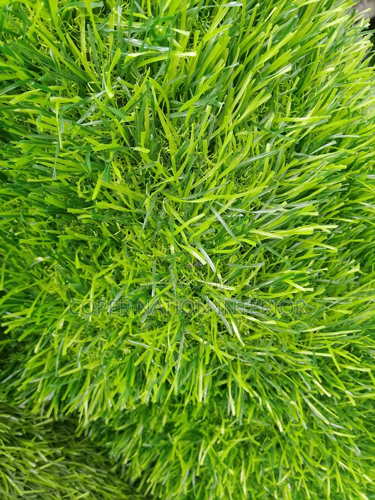 Artificial Grass. 40 Mm , Available in Different Sizes and Colour.